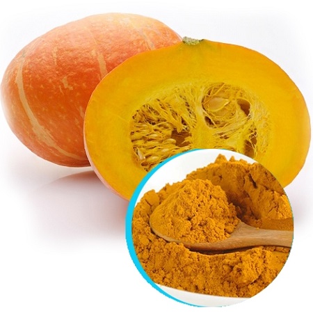 sấy bột bí đỏ