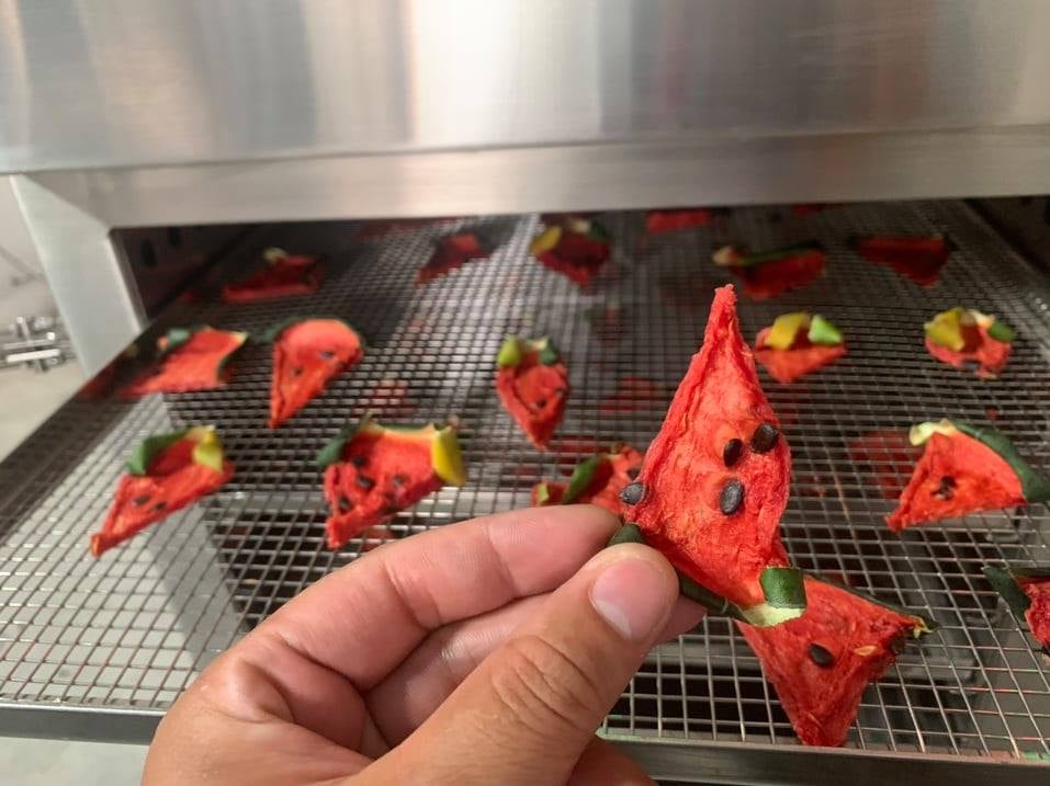 Máy sấy lạnh DQTech