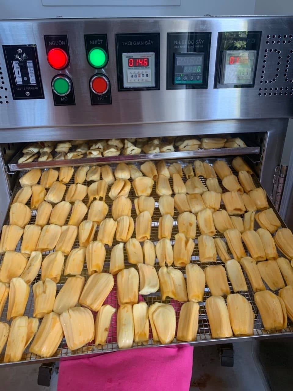 Sấy mít bằng máy sấy DQTech